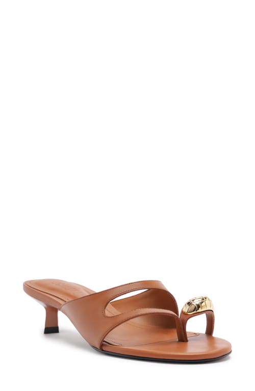 Schutz Elliote Kitten Heel Slide Sandal In Brown