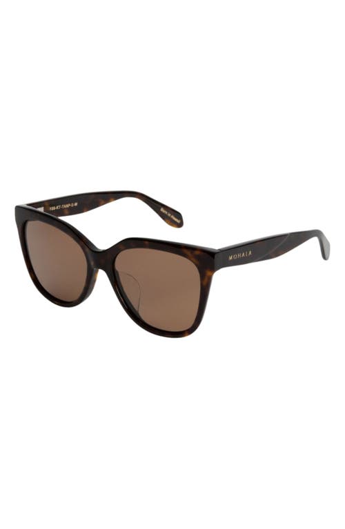 Mohala Eyewear Pikake Medium Bridge Medium Width 55mm Polarized Cat Eye Sunglasses
