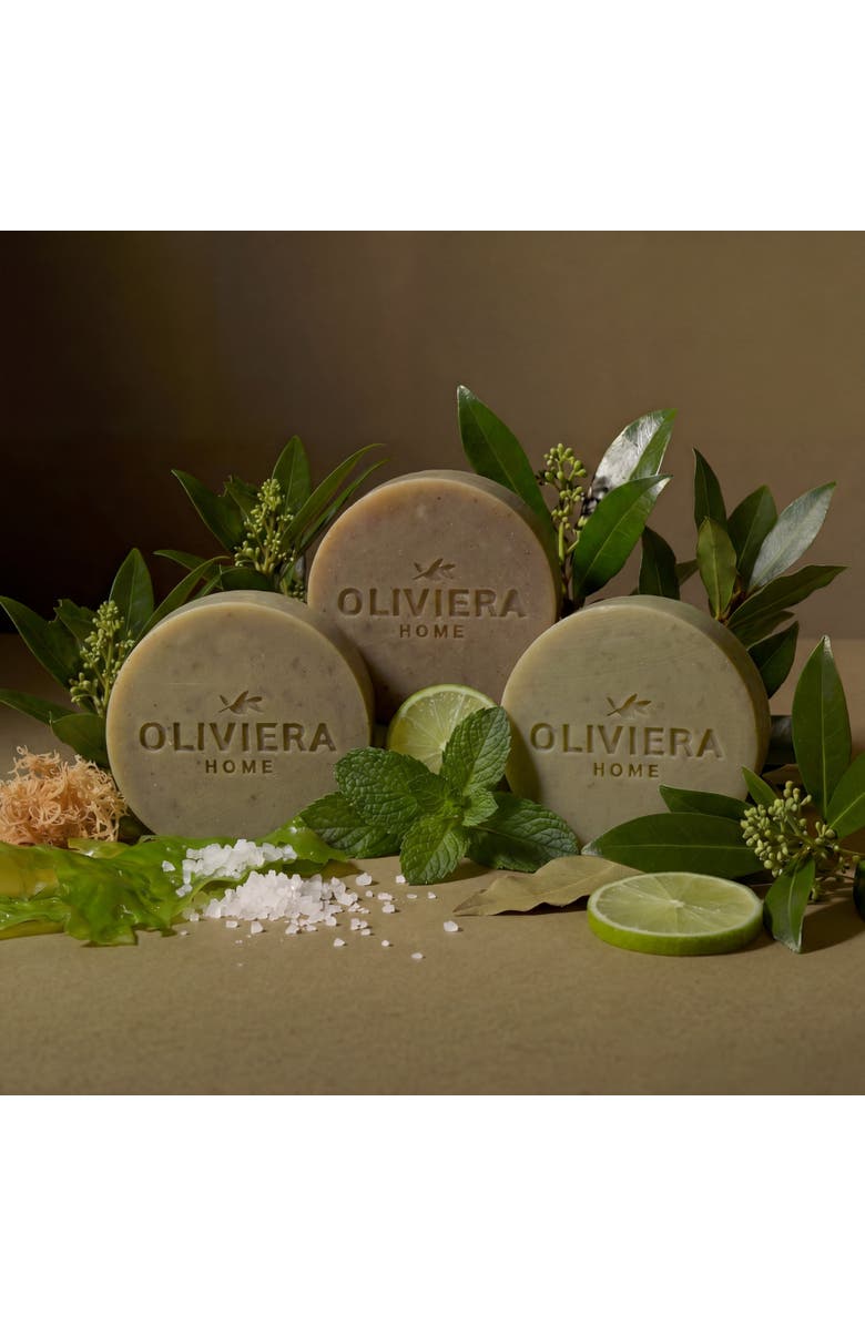 Oliviera Home Coastal Herb Bar Soap Trio, Alternate, color, NO COLOR