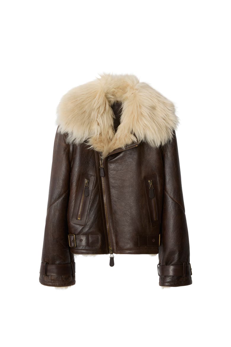Cropped Shearling Aviator Jacket, Alternate, color, Dark brown