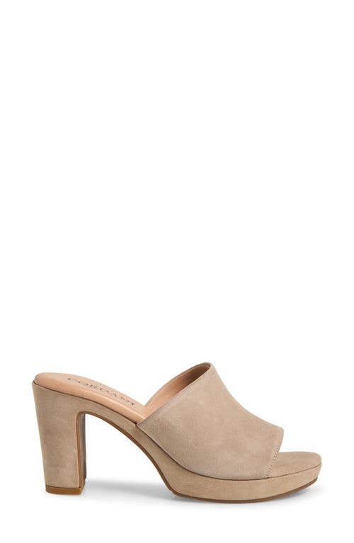 Cordani Vonnie Slide Sandal In Visone