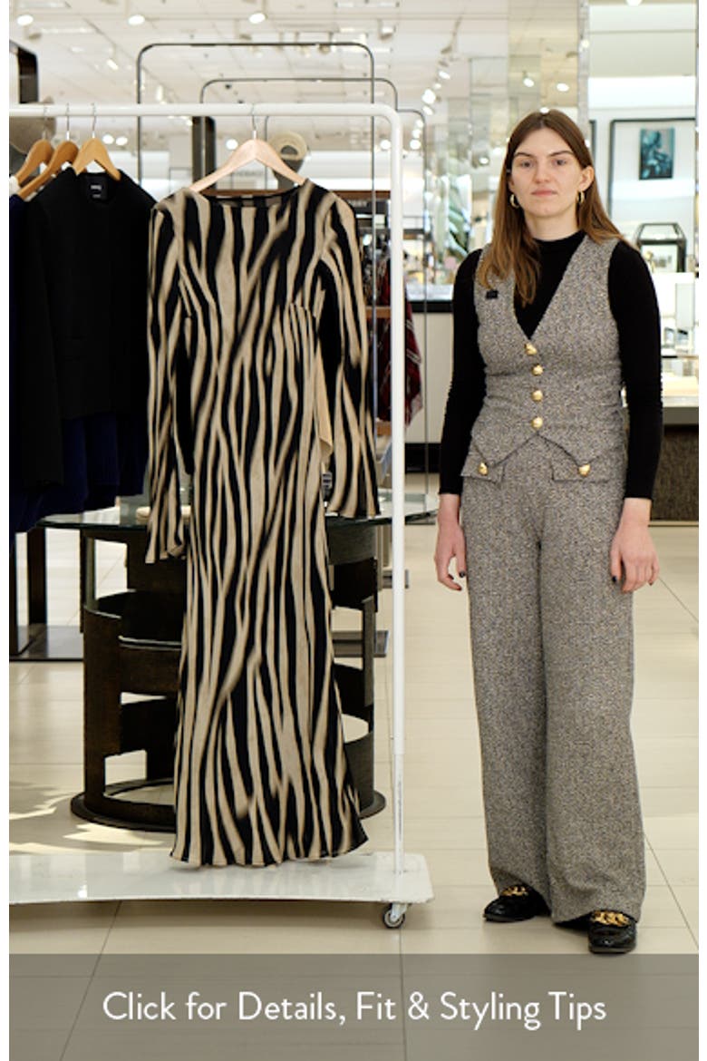 Abstract Zebra Stripe Long Sleeve Dress video