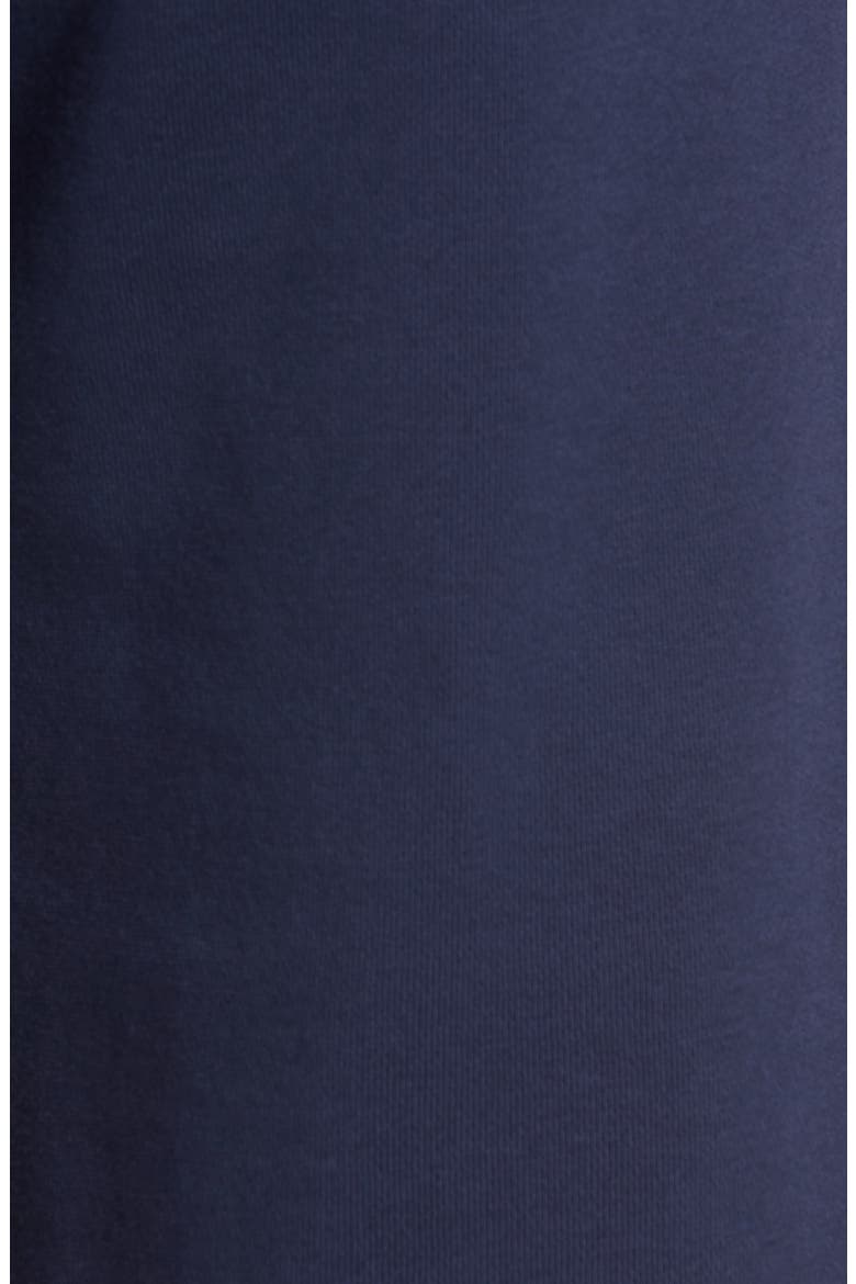 Tanaro Shorts, Alternate, color, PEACOAT