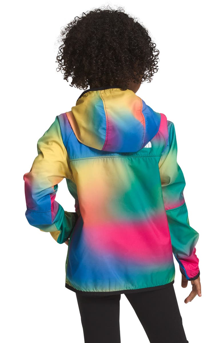 The North Face Kids' Never Stop Hooded WindWall Jacket, Alternate, color, 