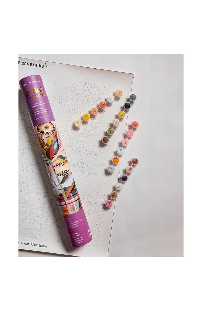 Journey of Something Paint By Numbers, Two Proteas, DIY Painting Craft Kit, Alternate, color, Multicolored