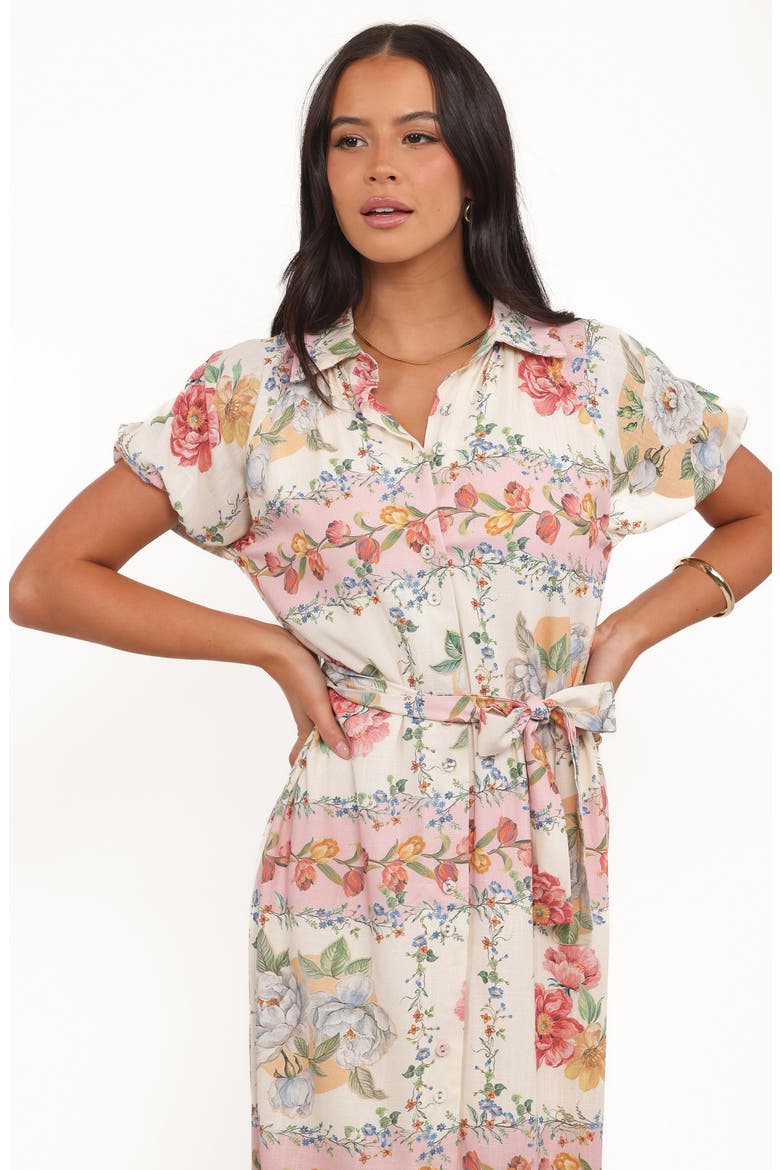 James Print Tie Waist Maxi Shirtdress, Alternate, color, ROSE TILE