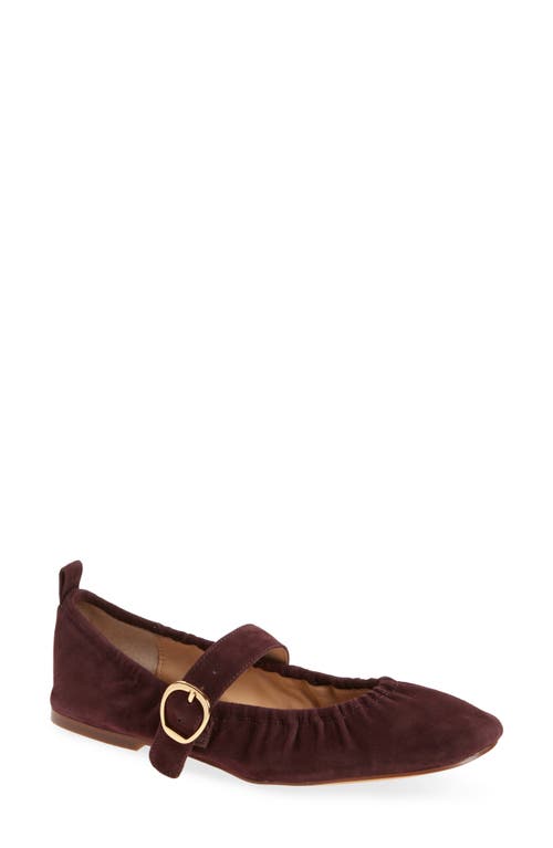 Dolce Vita Caely Mary Jane Flat In Purple