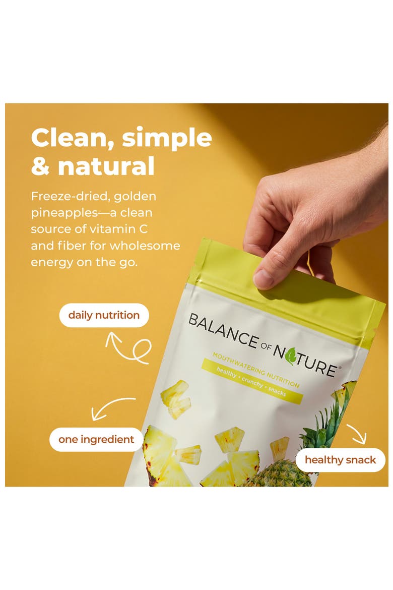 Freeze Dried Pineapple Slices Real Fruit Snack Five Pack, Alternate, color, None