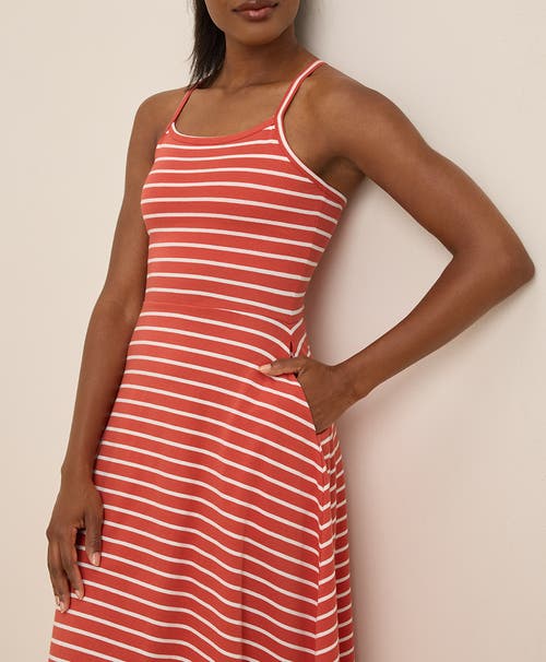 Pact Organic Cotton Fit & Flare Midi Dress