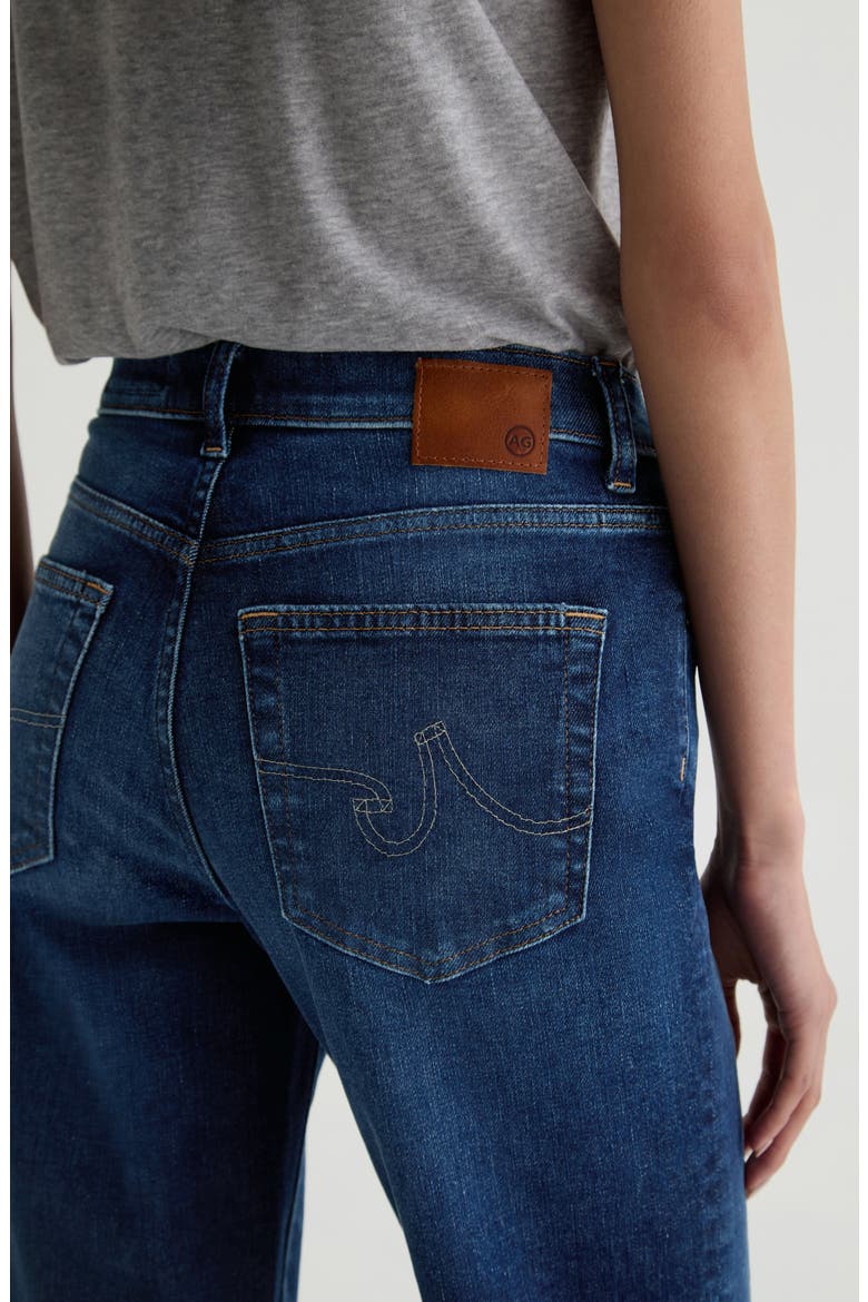 Brinley Mid Rise Crop Straight Leg Jeans, Alternate, color, OUTSPOKEN