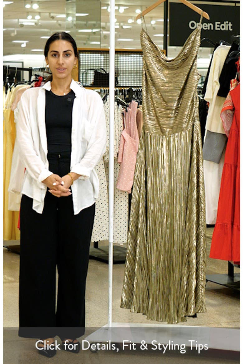 Kamila Plissé Metallic Sleeveless Maxi Dress video