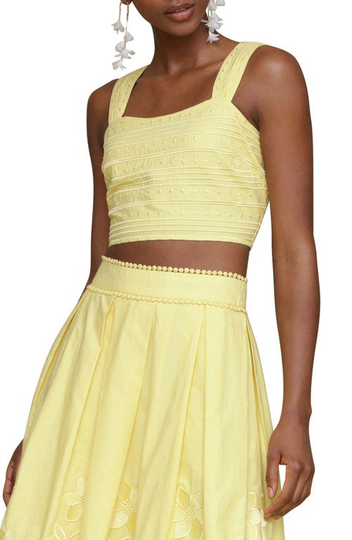 Avec Les Filles Embroidered Cotton Crop Tank In Citron