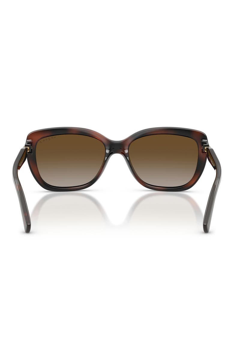 VO5678SB 55mm Polarized Butterfly Sunglasses, Alternate, color, BROWN HAVANA / GREY BROWN