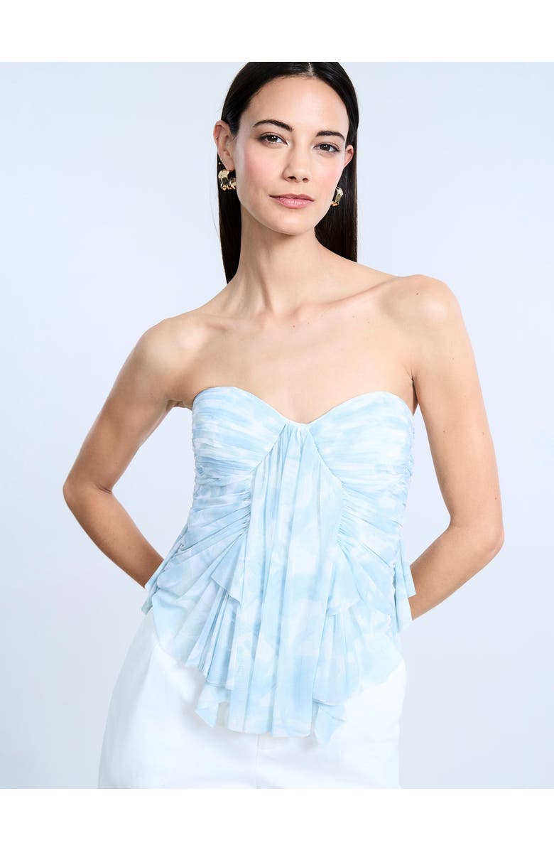 BCBGMAXAZRIA Printed Mesh Corset, Alternate, color, Sky Floral Print