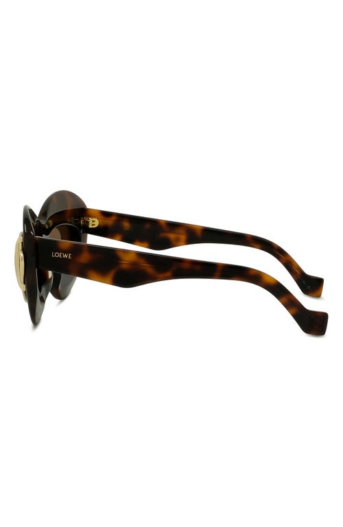 Loewe Double Frame 67mm Oversize Cat Eye Sunglasses In Brown