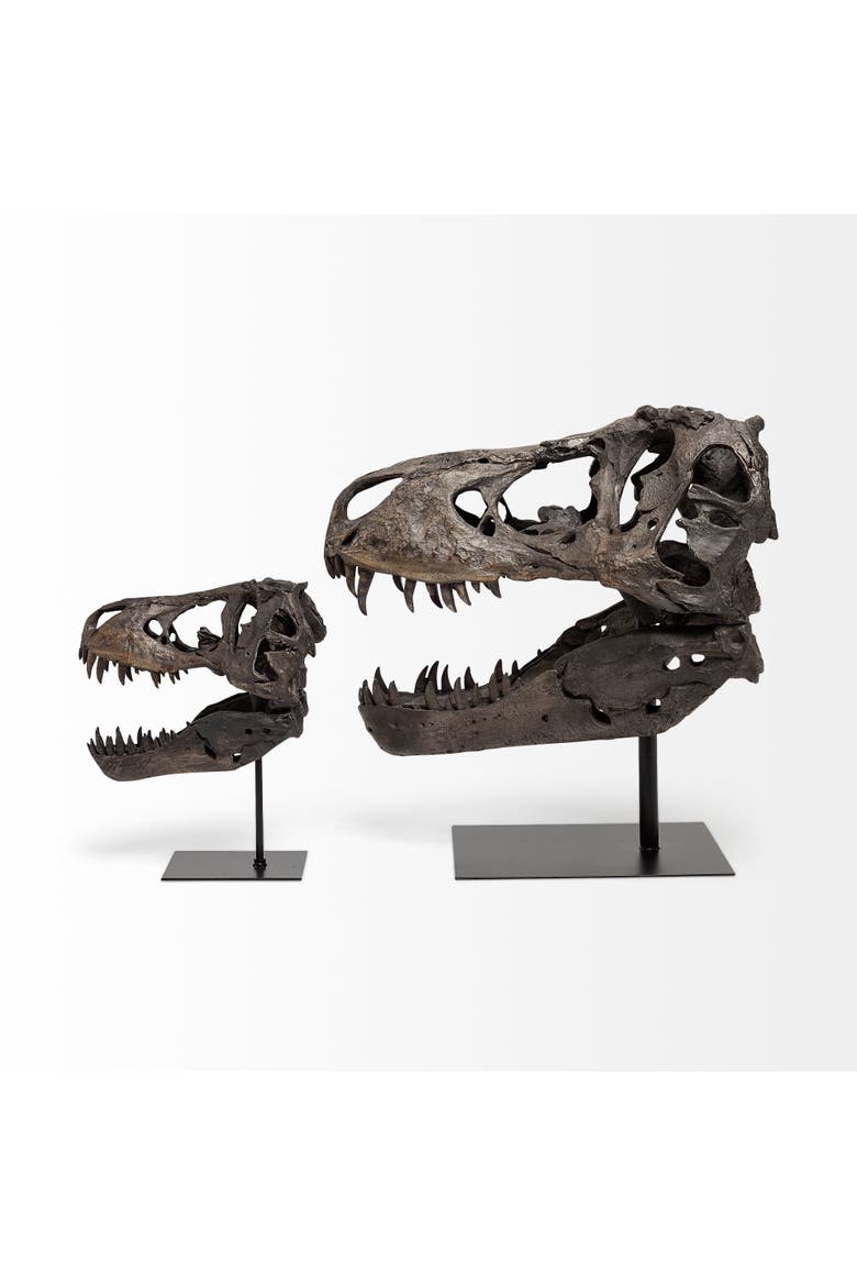 Jurassic Resin Dinosaur Skull Replica, Alternate, color, Brown