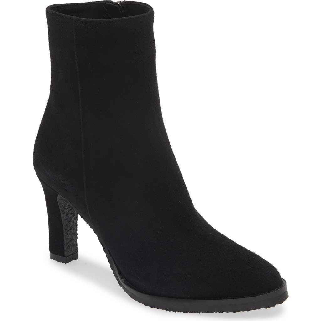 Cordani Novah Bootie in Black Suede