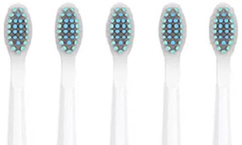 Pursonic Usb Rechargeable Sonic Toothbrush
