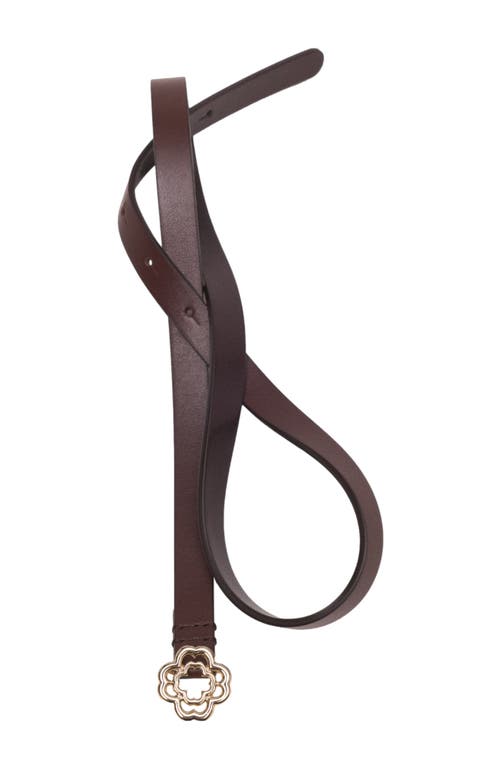 Maje Ceinture Fine Clover In Brown