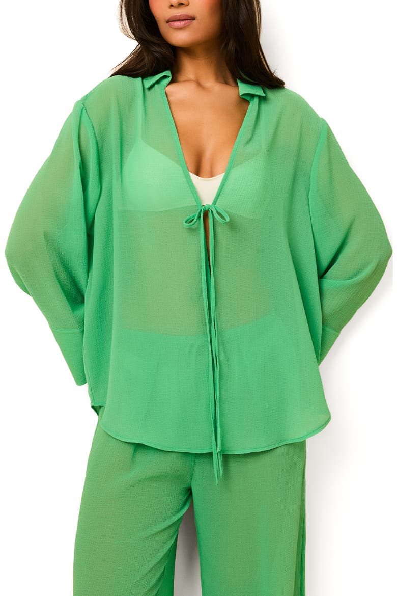 The Jaclyn Long Sleeve Sheer Cover-Up Tunic, Main, color, TURTLE GREEN