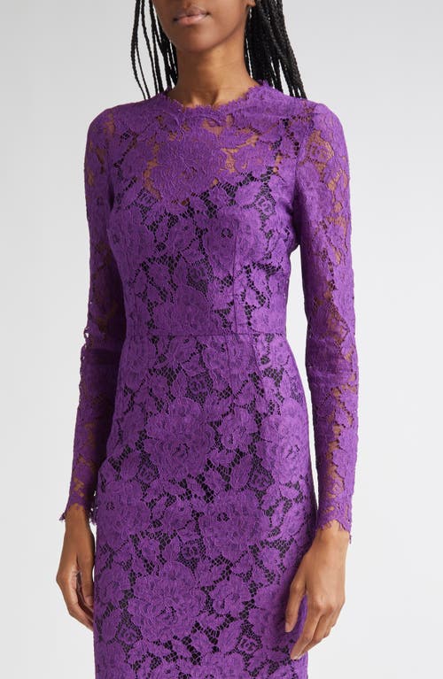 Dolce & Gabbana Dolce&gabbana Long Sleeve Cordonetto Lace Sheath Dress In Purple