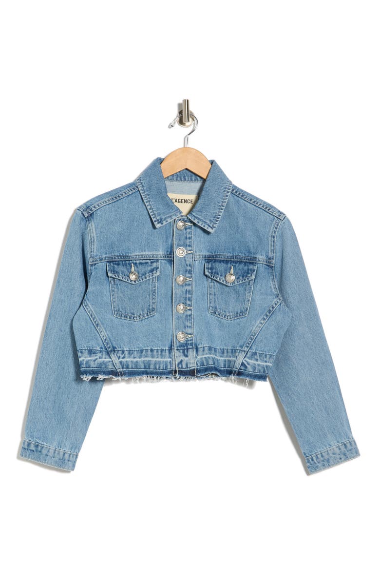 Genevie Raw Hem Crop Denim Jacket, Alternate, color, ZION