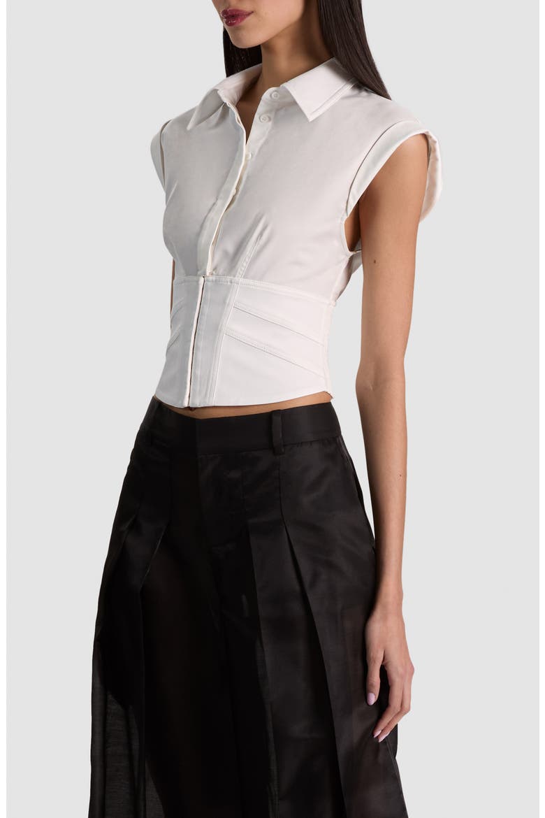 Kim Paneled Corset Top, Alternate, color, OFF WHITE