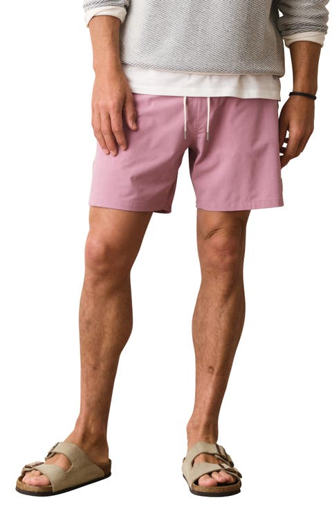 Lined Sport and Swim Shorts