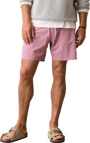 Marine Layer Lined Sport and Swim Shorts