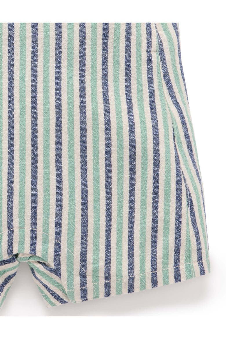 Striped Overalls, Alternate, color, Iguana Stripe