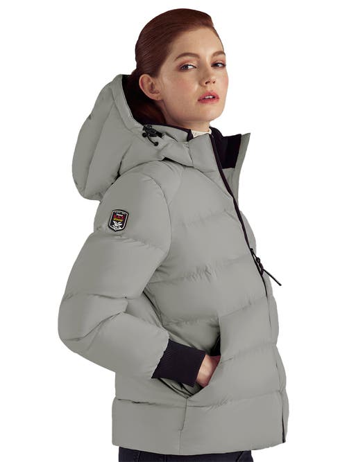 Triple F.a.t. Goose Puffer Down Jacket In Gray