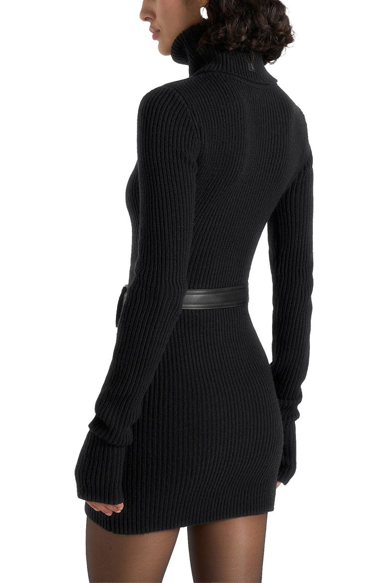 Kalia Roll Neck Knitted Mini Dress With Belt, Alternate, color, Black