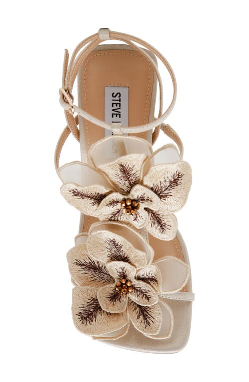 Steve Madden Aries Ankle Strap Sandal In Gold