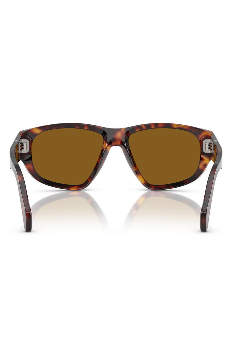 Persol 55mm Irregular Sunglasses, Alternate, color, Havana / Brown