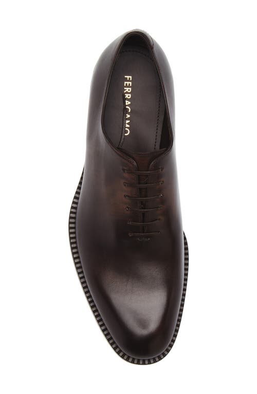 Ferragamo Dark Brown Leather Amber Lace-up Shoes In Brown