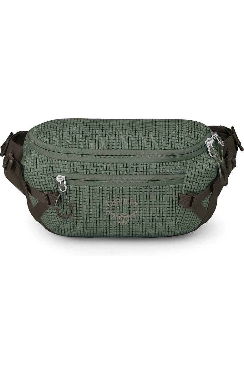 Osprey Transporter 3-Liter Waist Pack, Main, color, Pine Leaf/Earl Grey