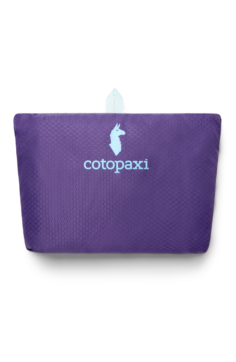 Cotopaxi Luzon 18L Daypack - Del Día, Alternate, color, Del Día