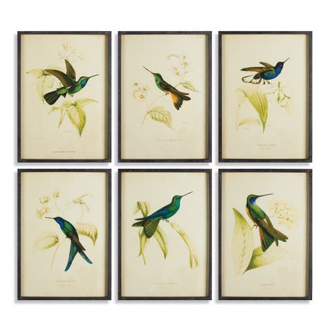 Hummingbird Prints Set of 6