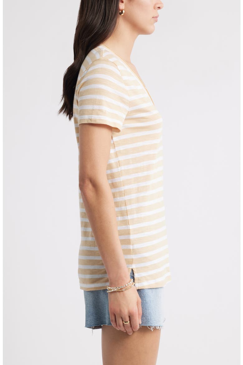 Cotton & Modal V-Neck T-Shirt, Alternate, color, TAN S- WHITE ASHER STRIPE