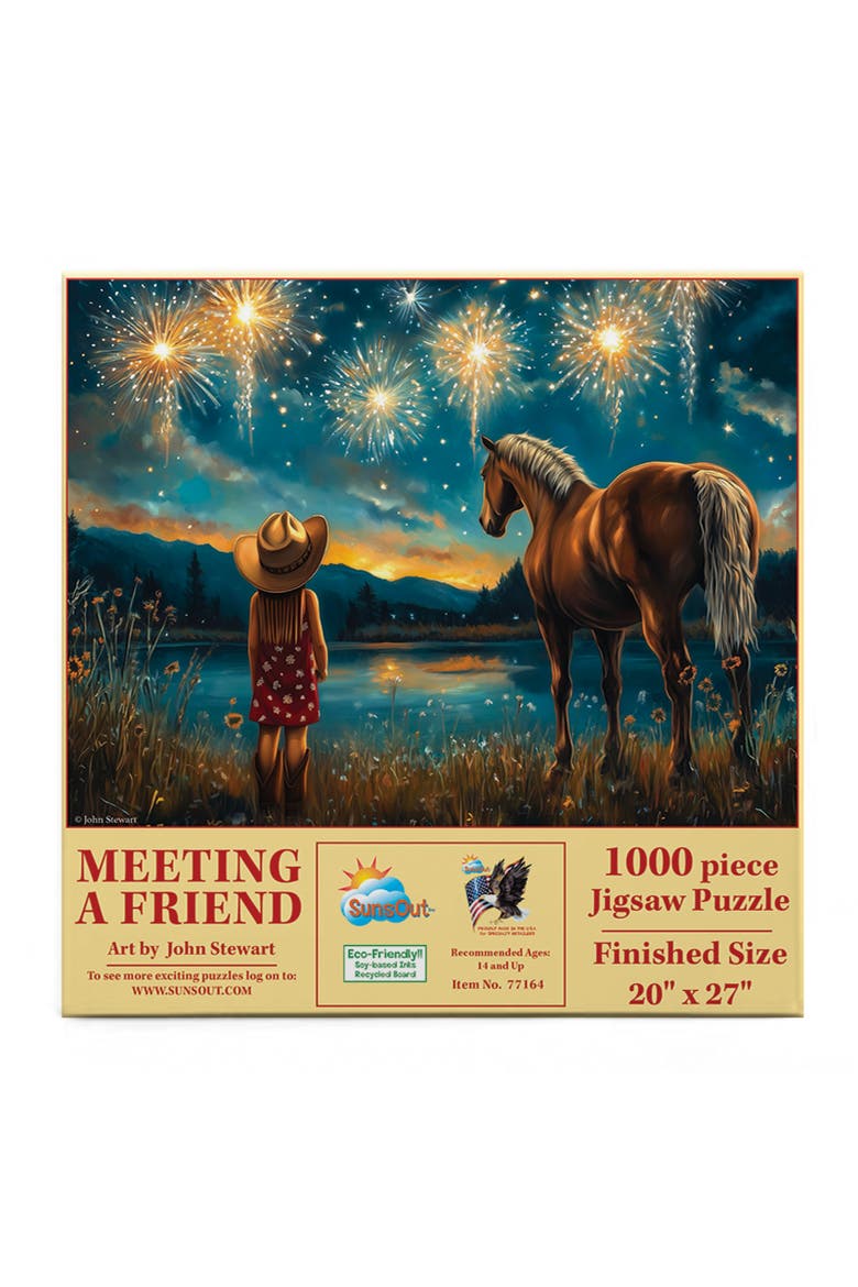 Meeting a Friend 1000 piece Jigsaw Puzzle for Adults, Alternate, color, Multicolor