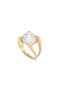 selected Iridescent Pearl/ Gold