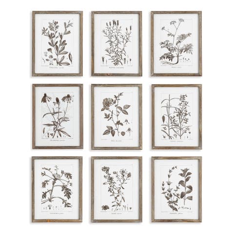 Rustic Foliage Study Set of 9