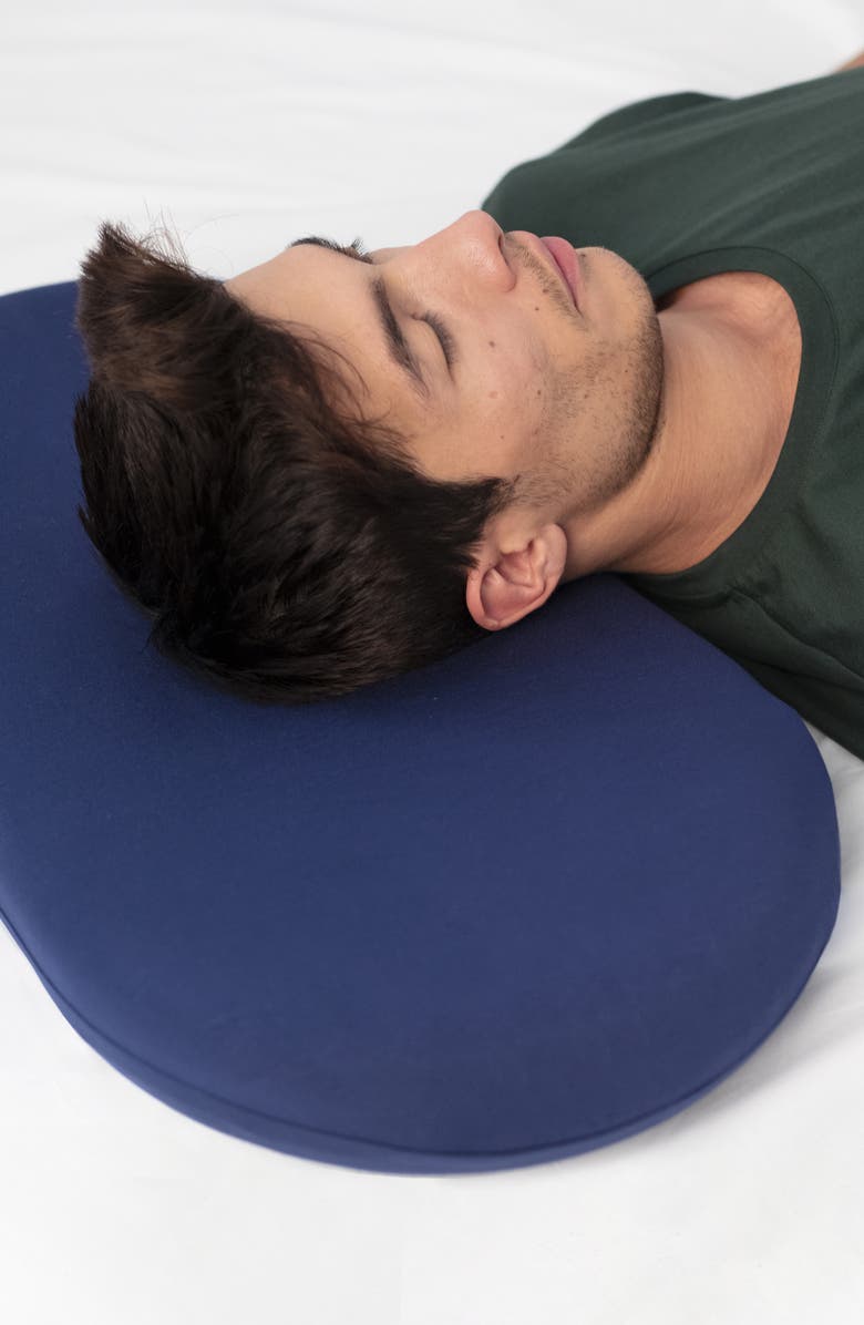 Ostrichpillow Bed Pillow Cover, Alternate, color, Deep Blue