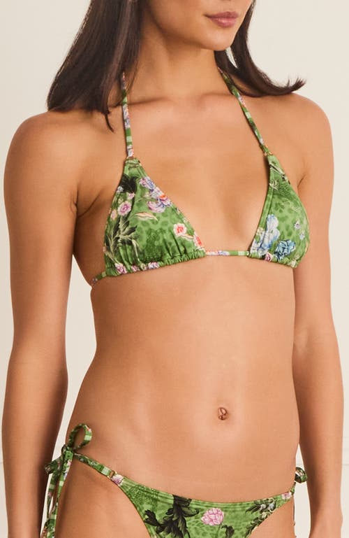 Aqua Blu Classic Aurora Triangle Bikini Top In Animal Print