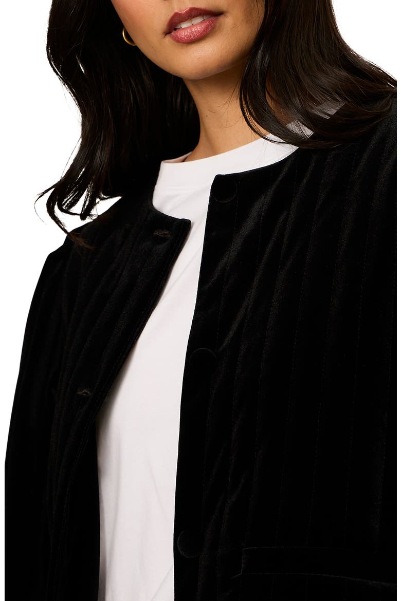 Pepper Velvet Jacket, Alternate, color, BLACK