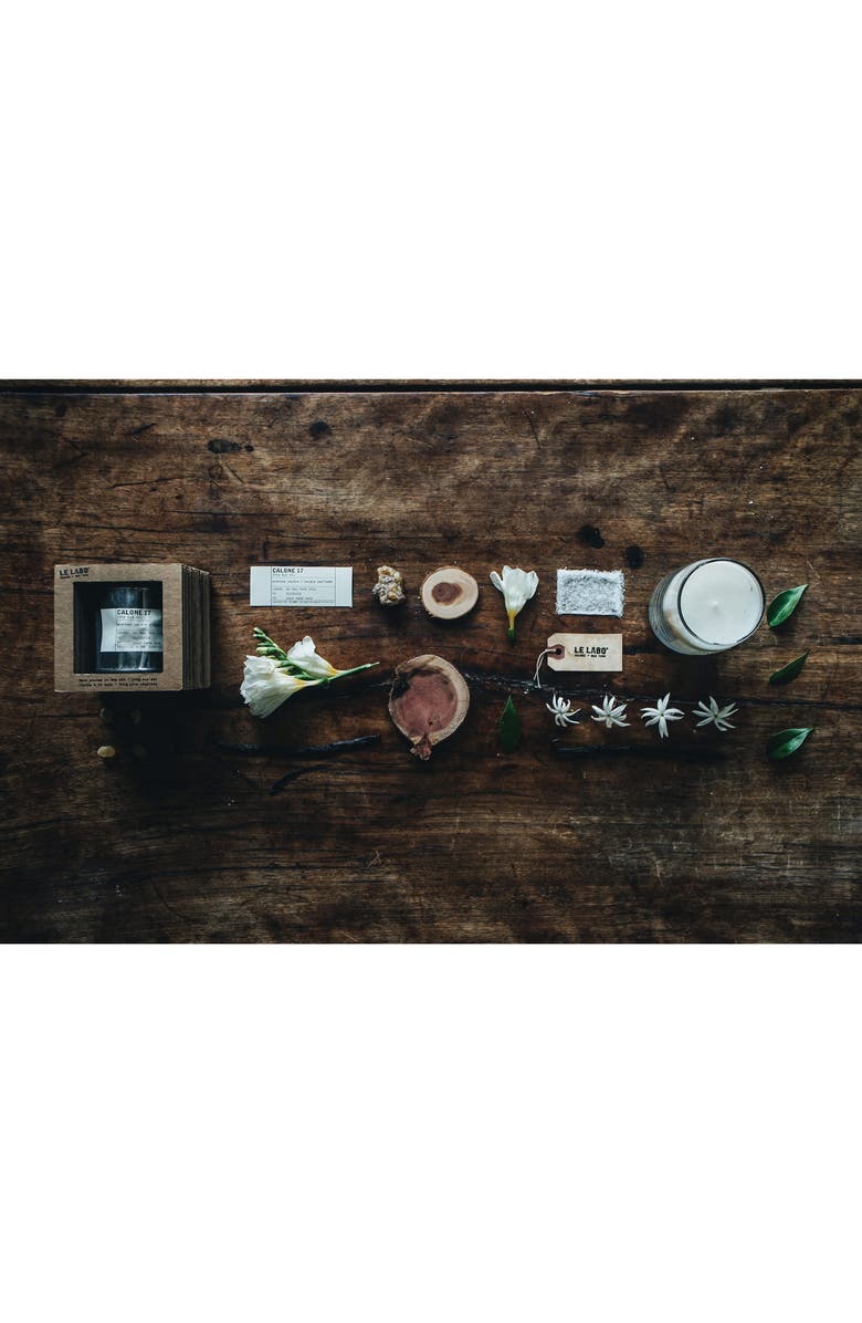 Le Labo Calone 17 Classic Candle, Alternate, color, 