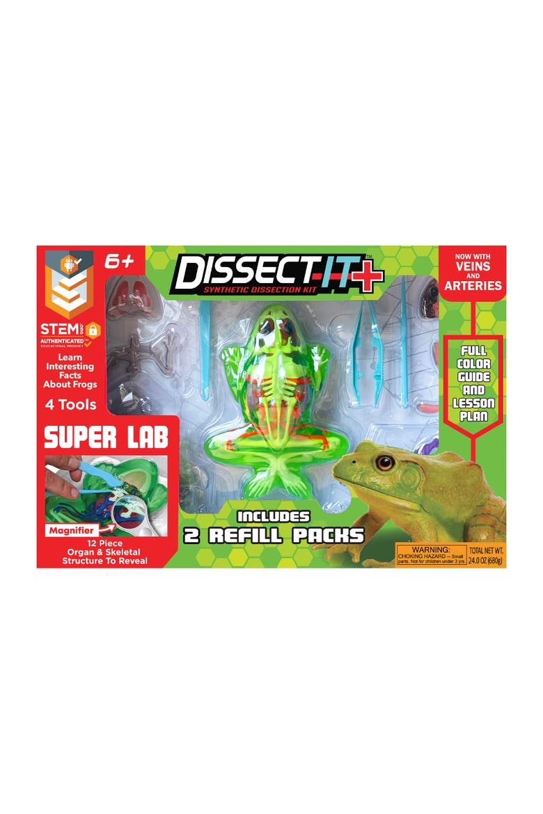 Deluxe Super Frog Lab, Kids, Main, color, Multicolored