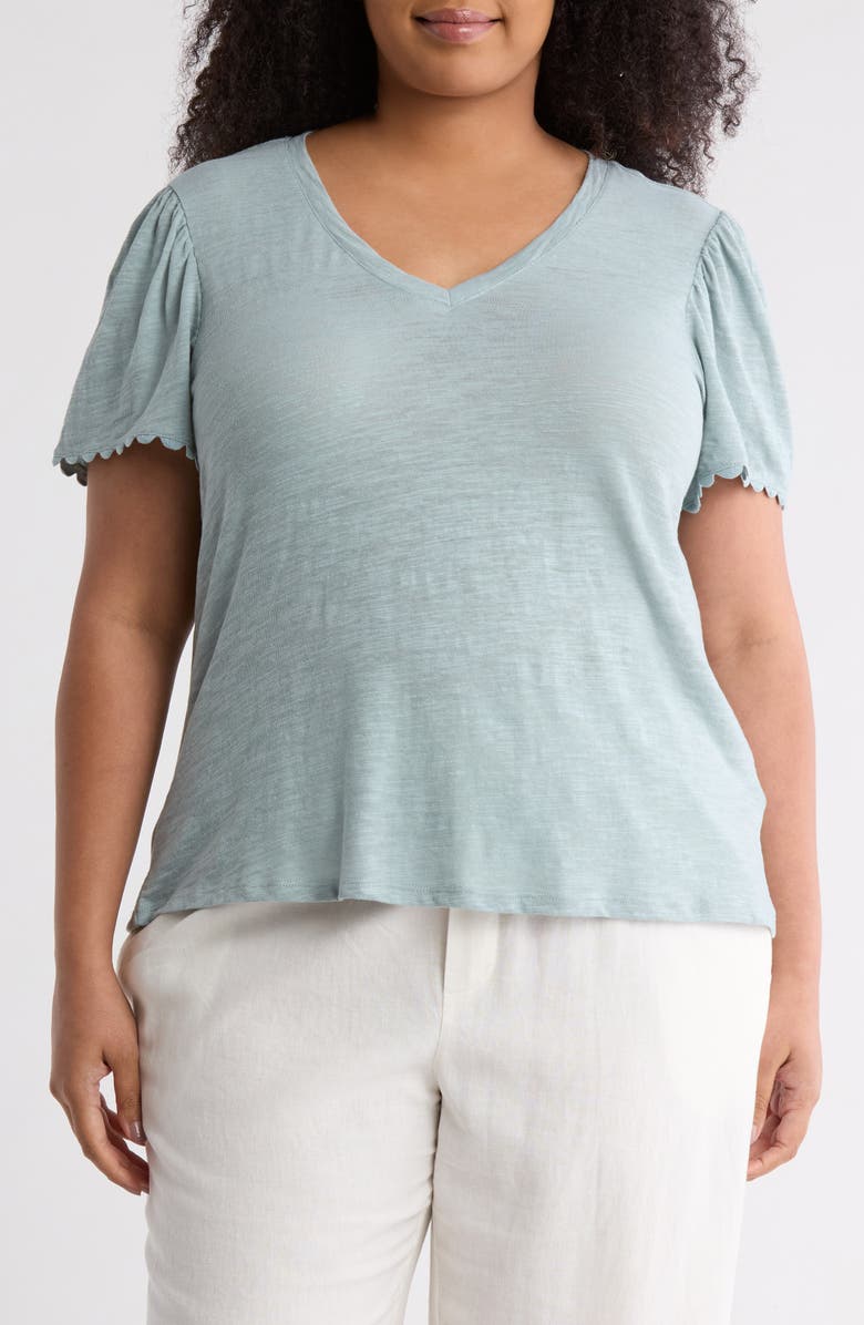 Caslon<sup>®</sup> Scallop Trim T-Shirt, Main, color, Grey Blue