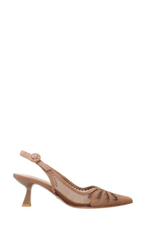 Pelle Moda Jacie Slingback Pointed Toe Pump In Brown