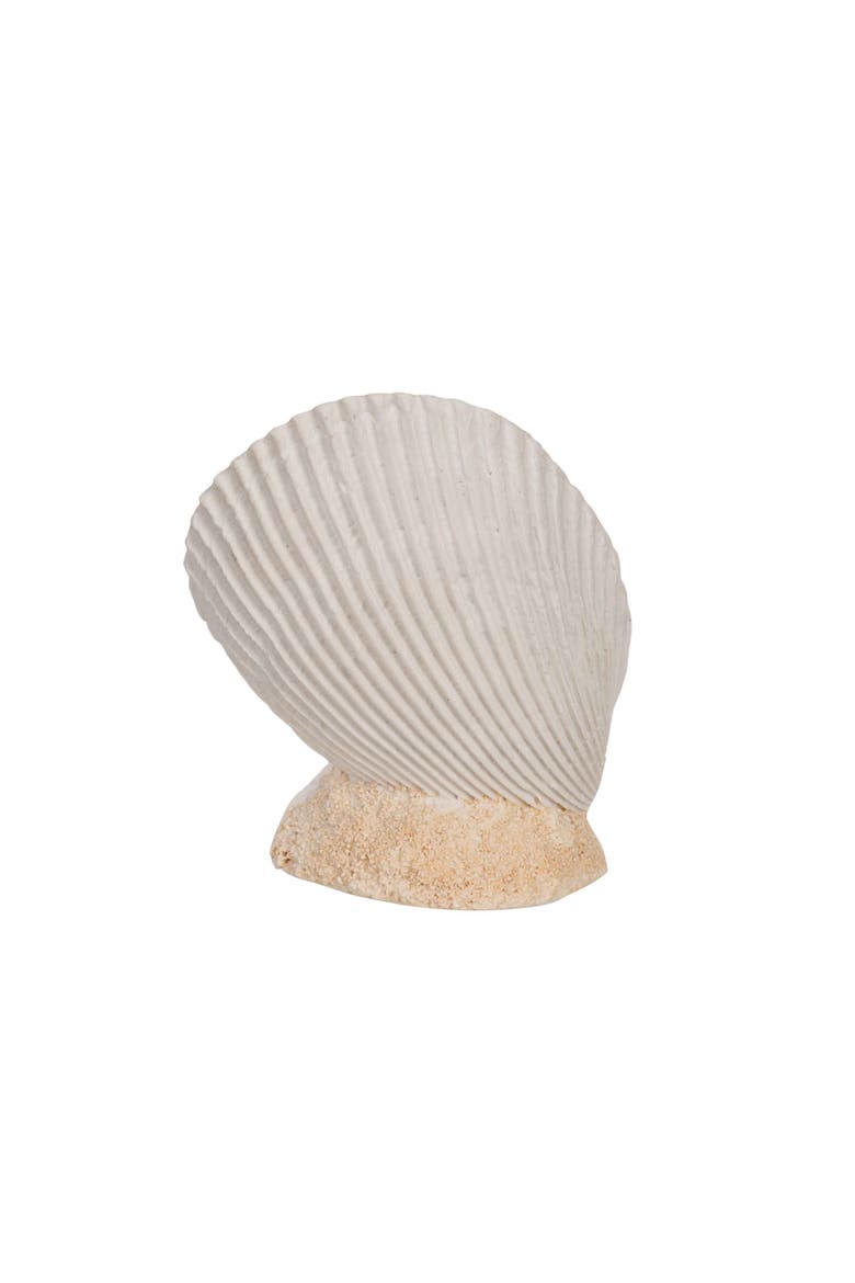 Sea Turtle In Seashell Figurine, Alternate, color, Brown